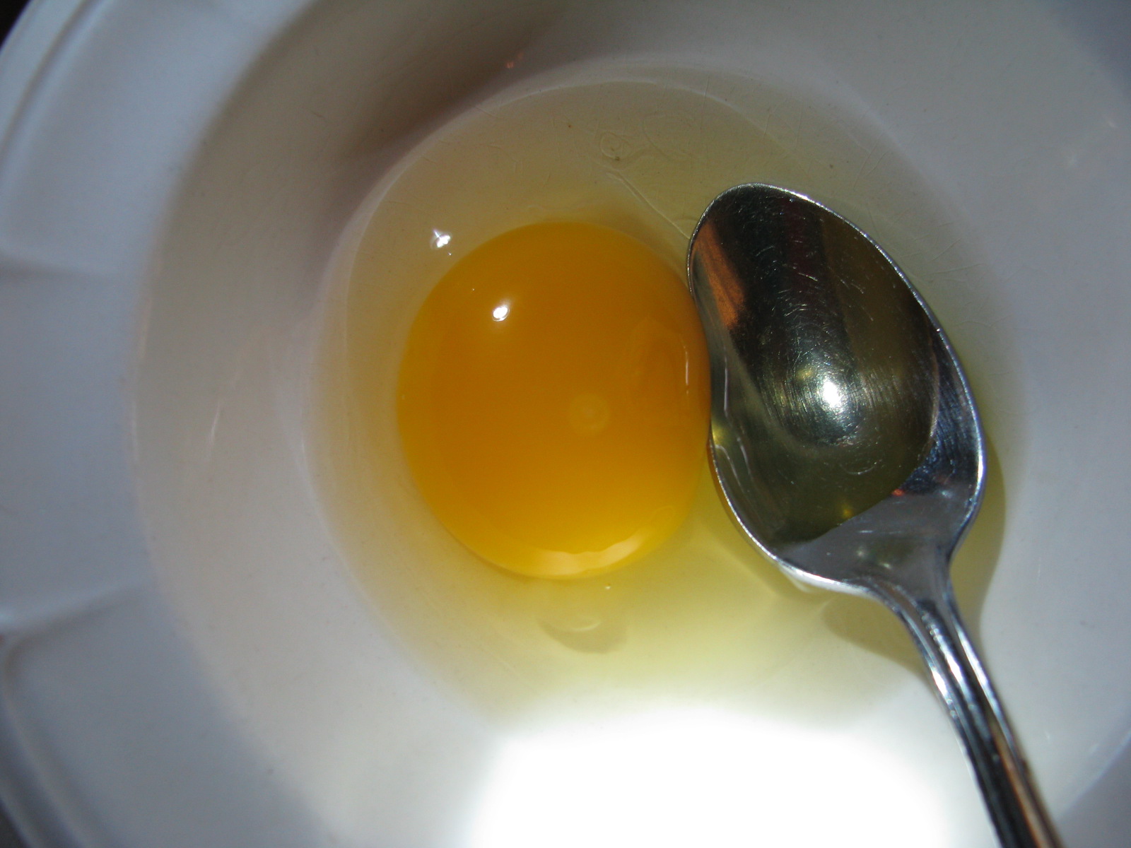 What Do Fertilized Chicken Eggs Look Like